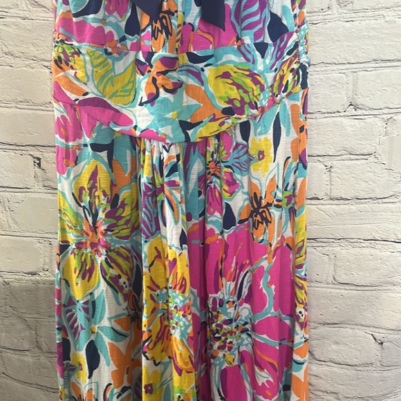 Lilly Pulitzer Amanda Besame Mucho Pink Blue Floral Maxi Dress Size XL - Picture 10 of 15